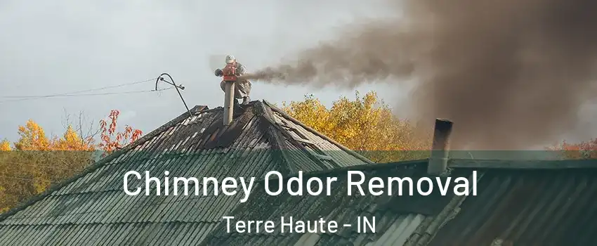  Chimney Odor Removal Terre Haute - IN