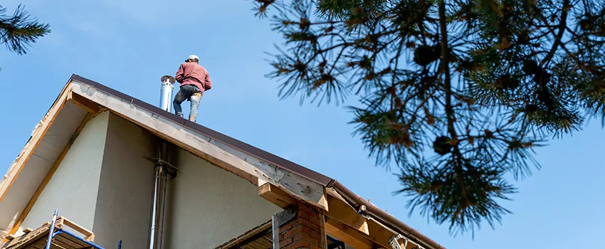 Birds Removal Contractors from Chimney in Terre Haute, IN