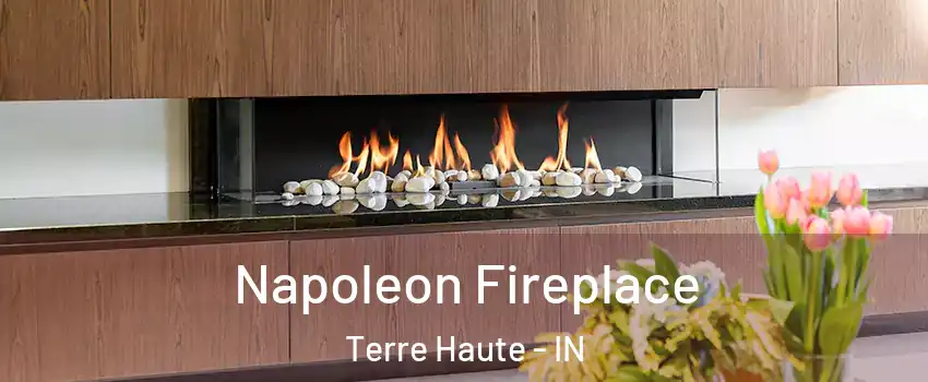  Napoleon Fireplace Terre Haute - IN